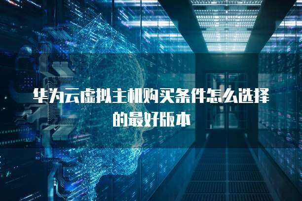 如何選擇最適合個(gè)人互聯(lián)網(wǎng)服務(wù)的虛擬主機(jī)購(gòu)買(mǎi)條件與設(shè)置指南